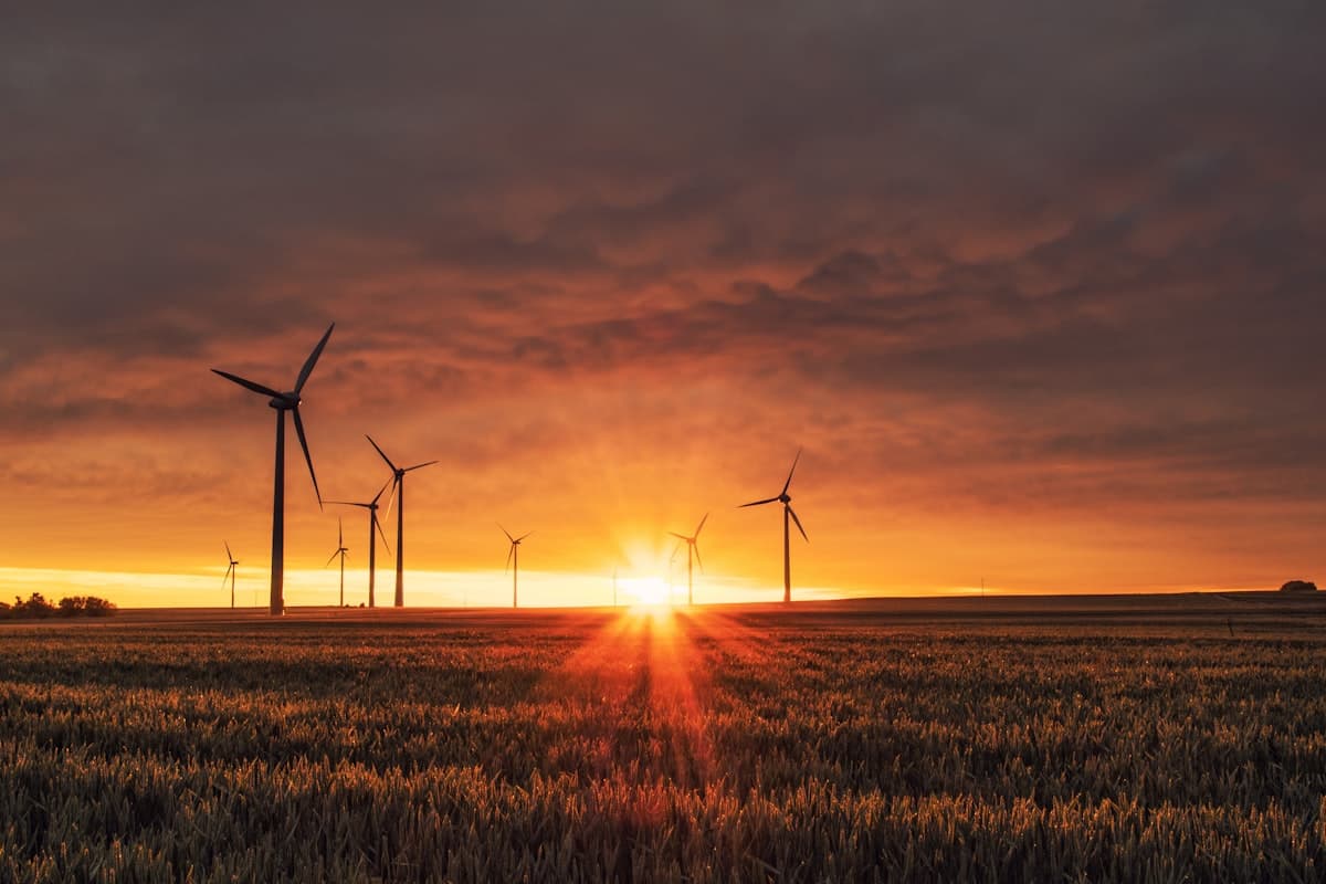 Carbon Credits Nature Based Marketplace