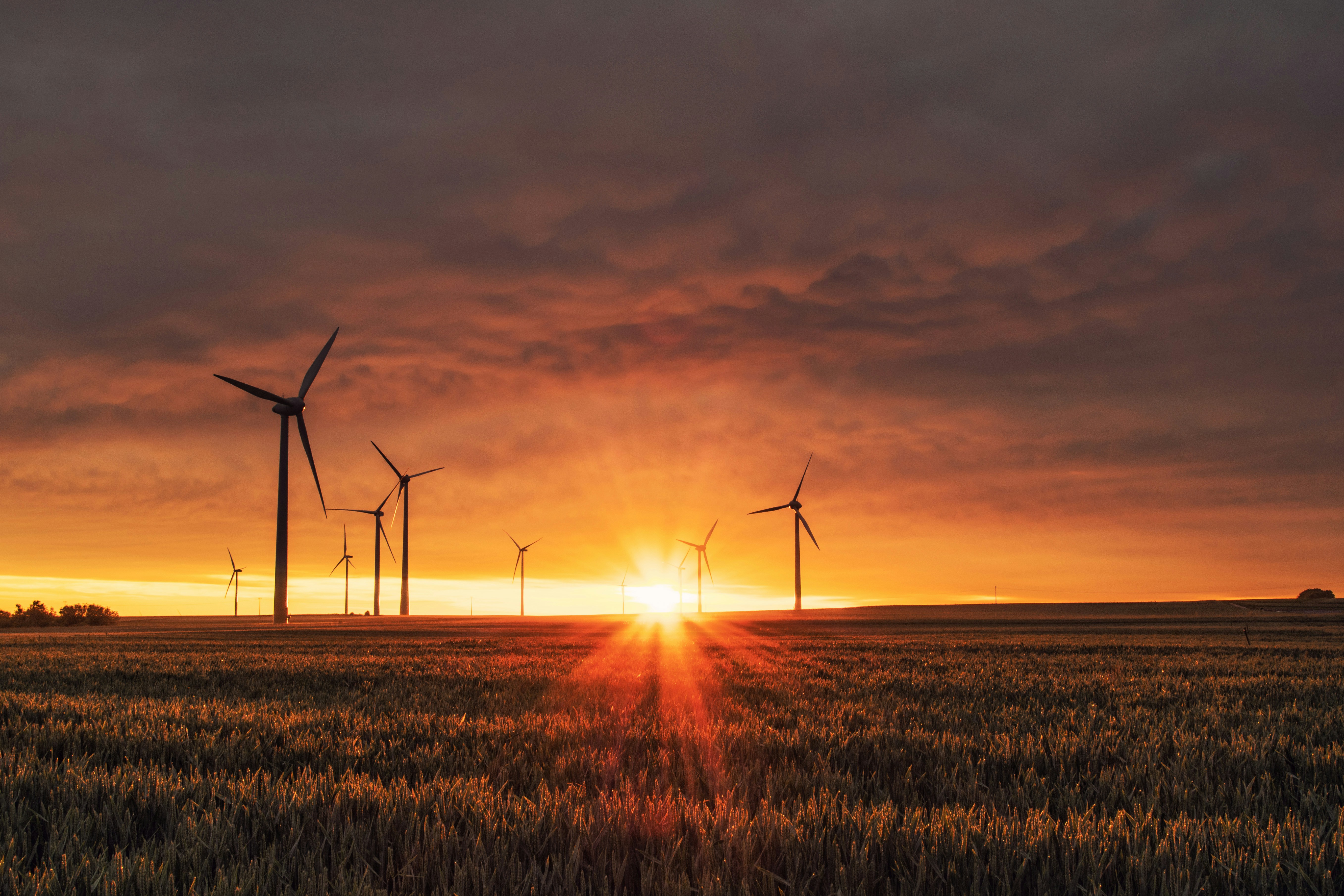 Methane Capture & Industrial Decarbonisation