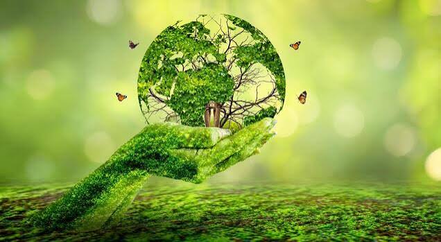 AI in ESG Reporting: Benefits, Risks & Human Oversight