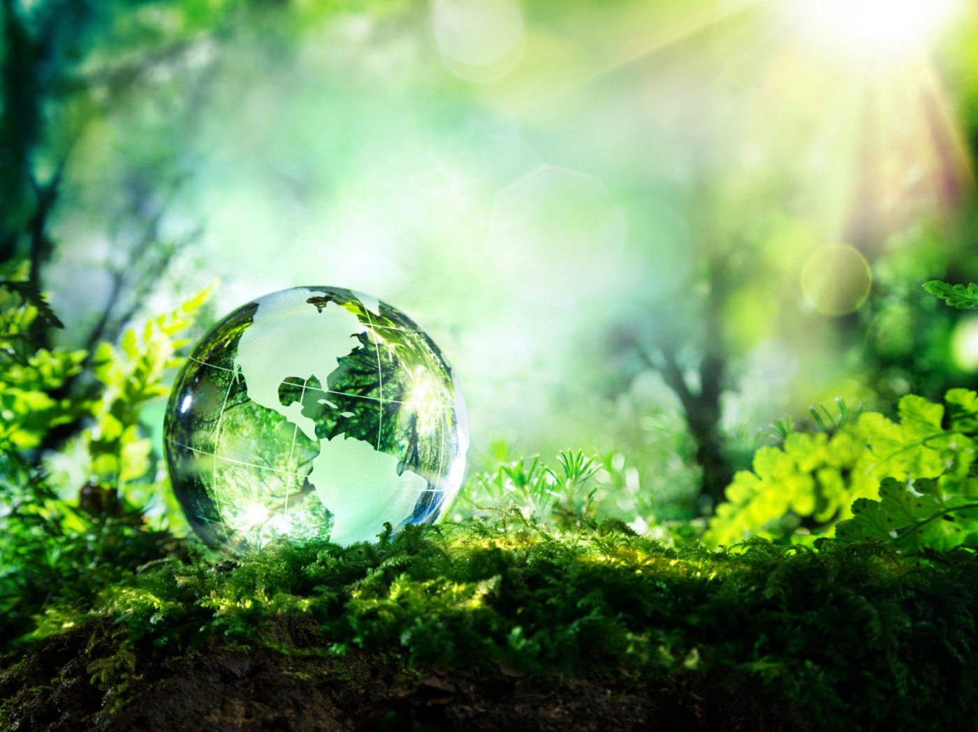 Carbon Credit Buyer's Checklist: 5 Questions Before Buying