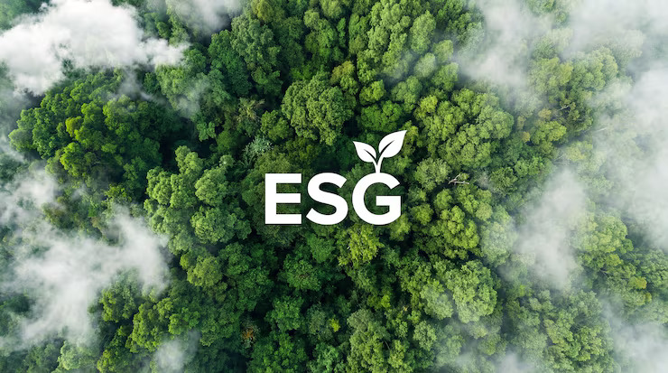 Why ESG Ratings Differ: Understanding ESG Rating Divergence